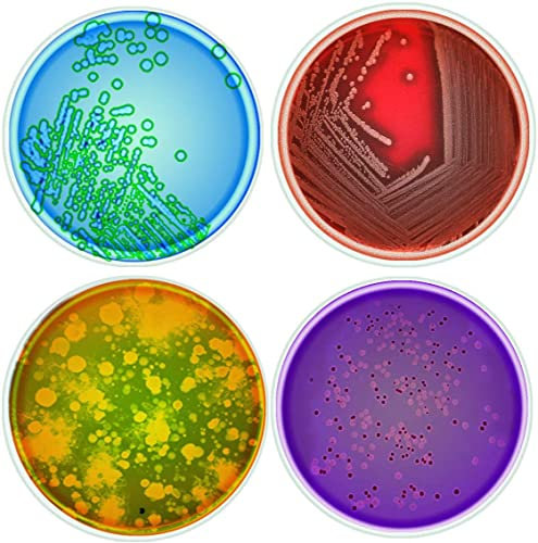 Medinc Juego de 4 posavasos de cristal de 10 cm de Science Petri Dish se pueden utilizar para taza de química, frasco de ciencia laboratorio vaso de precipitados de ciencia para un geek
