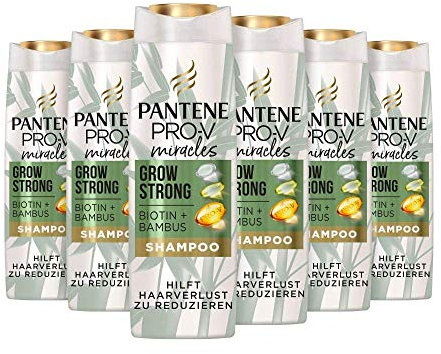 Pantene Pro-V Miracles Grow Strong Shampoo (6 x 250 ml) mit Biotin & Bambus, Anti-Haarverlust, Haarpflege, Haarwuchsmittel Frauen, hilft Haarausfall zu reduzieren