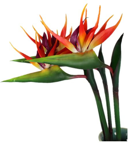 Rikyo 3 Pcs Large Bird of Paradise 32 Inch Permanent Flower,UV Resistant No Fade Flower Part is Made of Soft Rubber PU,Artificial Plants for Home Office,Stem 1/2 Inch,Orange Red
