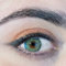 ADORE - Farbige Kontaktlinsen mit abgestuften BC 8,6 mm, DIA 14,0 mm | -4,75 Dioptrien | Trimestrale | 90 Tage (grün/PEARL L)