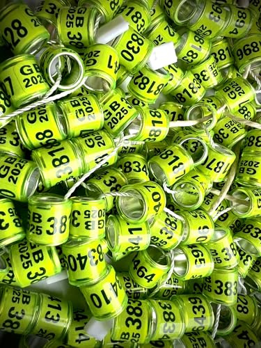 100pcs GB UK 2025 8MM PIGEON LEG FOOT RINGS BANDS STOCK LOFT RACING