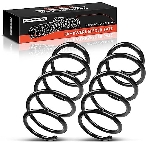 Frankberg 2x Federn Fahrwerksfeder Vorderachse Kompatibel mit Kangoo Express FW0/1 Kangoo/Grand Kangoo KW0/1 2008-Heute Replace# 8200772227