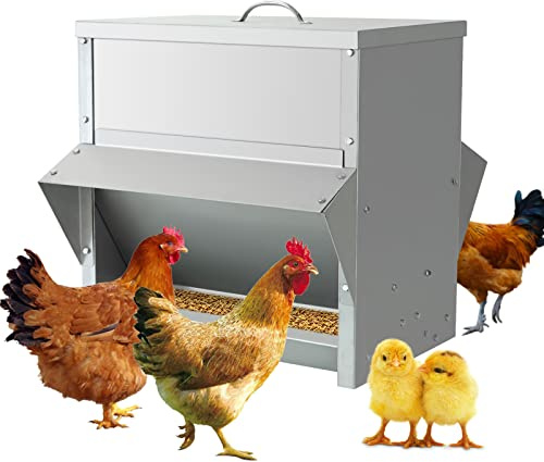 MUYIRTED Grande Comedero Gallinas 25KG Dispensador De Pienso, Comedero Gallinas Exterior De Acero Inoxidable, Accesorios para Gallinero