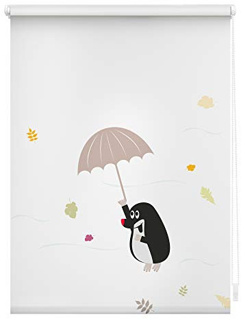 Lichtblick Klemmfix Verdunklungs-Rollo mit Motiv, ohne Bohren, Blickdicht, Seitenzugrollo, Made in Germany, Maulwurf - Bunt 90 x 150 cm (B x L)