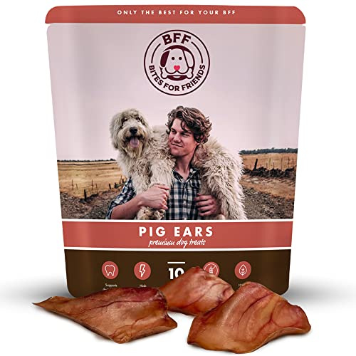 Bites for Friends Pig Ears for Dogs (9 Count) - Long Lasting Chews for Aggressive Chewers - No Hide Healthy Treat - Teeth Cleaning Treat - All Natural No Rawhide - for Small, Medium and Large Breeds