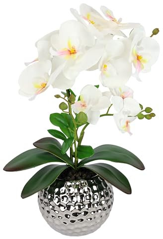 Kunstblume Schmetterling Orchidee 40cm mit Blätter im Übertopf Künstliche Blume Kunstorchidee künstliche Phalaenopsis wie echt Orchideenzweig Kunstpflanze Pflanze Hochzeit Deko Seidenblume, creme