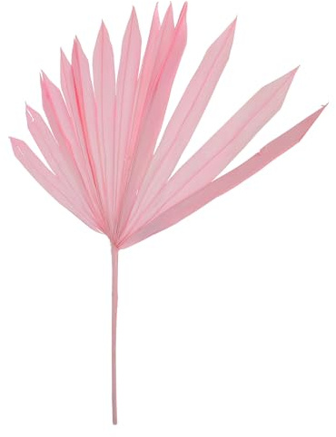 VANZACK Decorazione Foglie di Palma Secche Rosa Naturali Materiale per Composizioni Floreali Fai da Te Ornamento Multiuso per Feste e Arredamento Casa