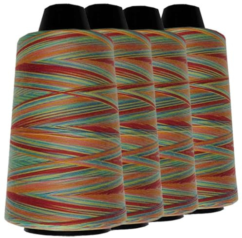 Schneidereibedarf Werner Multicolor Overlock-Nähgarn/Overlockgarn, 100% Polyester, 40/2 Stärke, 3.000 Yard (2.743 Meter), für alle Stoffe (4, C)