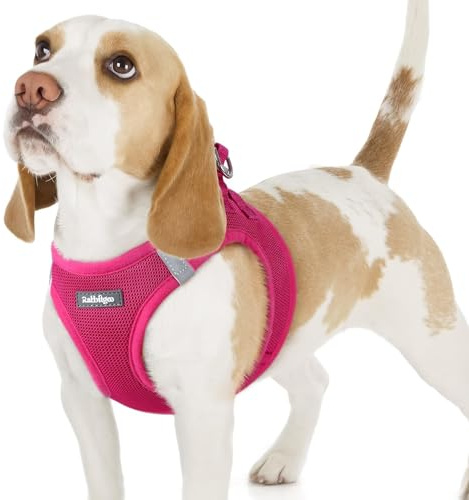 rabbitgoo Harnais Chien Petite Taille Rose Rouge M, Harnais Chiot Respirante en Maille Souple, Arnet pour Chien Réfléchissant Facile à Mettre, Gilet Réglable pour Petits et Moyens Chiens pour Marche