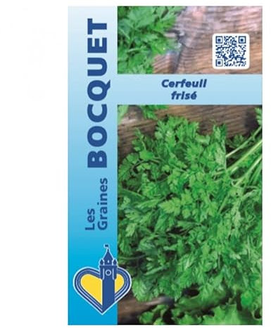 Sachet de graines de Cerfeuil Frisé - 7 g - légume feuille - LES GRAINES BOCQUET
