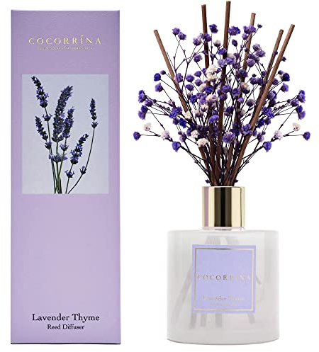 Cocorrína Premium Reed Diffuser Set with Preserved Baby's Breath & Cotton Stick Lavender Thyme | 6.76 Fl.oz Scent Diffuser for Bedroom Bathroom Home Décor