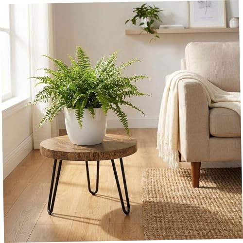 Latemeia Plant Stool, 10 Inch Wood Plant Stand with Metal Legs Small Indoor Plants Stand Stool Sturdy Boho Rustic Home Decor, Small, Stools Indoor