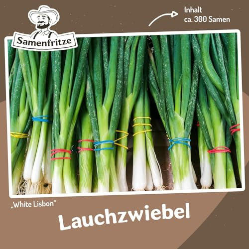 Lauchzwiebel White Lisbon ca. 300 Samen - schnellwachsende Sorte mit weißer Zwiebel