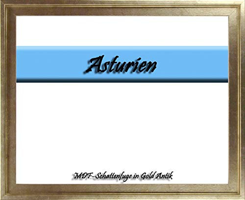 MDF-Leerrahmen ASTURIEN speziell für Leinwandbilder BZW. Keilrahmenbilder im Format 30 x 40 cm. Schattenfugenrahmen in der Farbe: Gold Antik. 10 Farben zur Auswahl