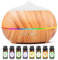 Moisturnt Aroma Diffuser für Duftöle Ultraschall Luftbefeuchter: 500ML Aromatherapie Öle Diffusor mit Aroma Öl Set - Cool Mist Raumbefeuchter mit 7-farbigem LED-Licht für Zuhause Büro Schlafzimmer