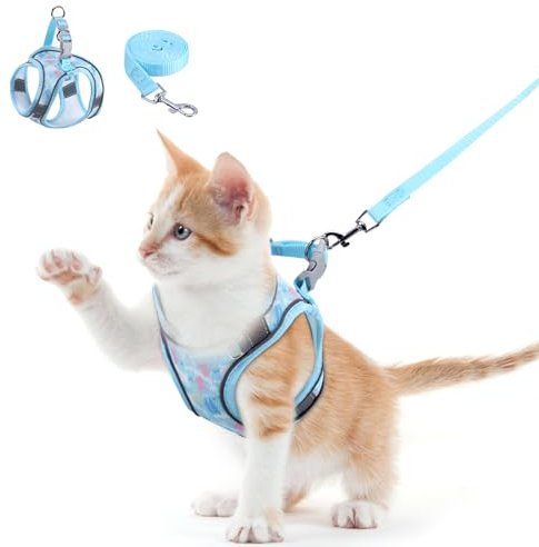 Brifit Katzengeschirr mit Leine 150cm, Katzengeschirr Ausbruchsicher & Hochwertig Softgeschirr für Katzen Hunde, Katzenleine mit Geschirr für Katzen Kleine Hunde [Blau XS] für 3-5kg Haustier