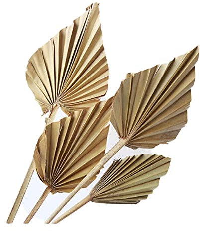 Wresetly Lot de 8 grandes feuilles de palmier séchées naturelles pour décoration de mariage
