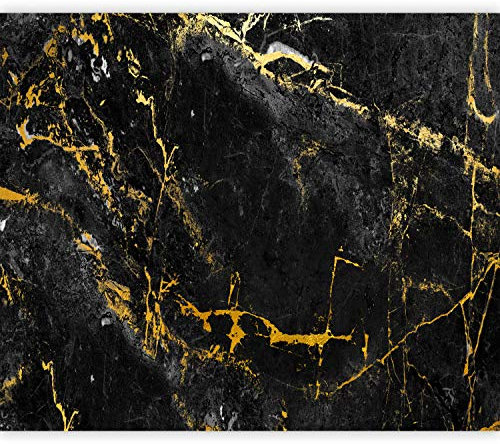 murando Fotomurales Piedras 350x256 cm XXL Papel pintado tejido no tejido Decoración de Pared decorativos Murales moderna Diseno Fotográfico Marmol Abstracto 3D Negro f-C-0461-a-a