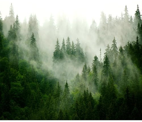 decomonkey Fototapete Wald 450x315 cm Design Tapete Fototapeten Vlies Tapeten Vliestapete Wandtapete moderne Wand Schlafzimmer Wohnzimmer Tiere