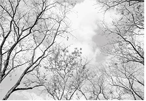WallArena - Papier peint photo non tissé - Motif couronnes d'arbres - Forêt - Noir et blanc - Arbre ciel - 400 x 280 cm - Papier peint photo - Pour salon et chambre à coucher - Effet 3D - Avec colle
