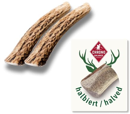 ChronoBalance® XS (Conjunto de 2) Barras para Masticar maíz del Cerebro del Perro, del tamaño de una Moneda de Diez centavos, Natural, para Cura dei dei dei, 100% sustentable, sin sostanze chimiche