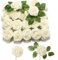 PartyWoo Künstliche Rosen, 20 Stück Kunstblumen, Künstliche Blumen, Deko Blumen, Schaumrosen, Kunstblumen Deko, Kunstblume für Geburtstagsdeko, Hochzeitsdeko, Party Deko (Beige)