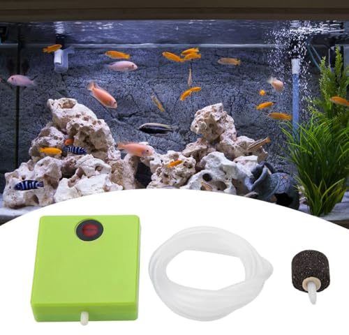 FiTspi Bomba de aire para acuario, aireador de bomba de aire para pecera, aireador de oxígeno para acuario con piedra de aire y tubo, bomba de aire seco que funciona con pilas para acuario