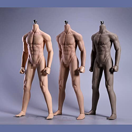 1/6 Skala Männlicher Körper,JIAOU DOLL 12inch Männliche Super Flexible Starke Muskeln Nahtlose Action Figur Körper Kollektion (JOK-11C, Gebräunte Haut)
