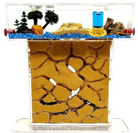 【Hormiguero】 Kit T- Pequeño de Arena Natural 20x7x22 - Granja de Hormigas- Hormigas Gratis Incluidas┃de 20-30 Hormigas