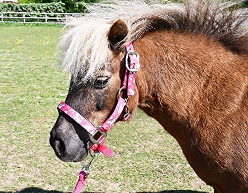 Rhinegold Juego de Collar y Cuerda de Unicornio, Shetland, escofina, Frambuesa