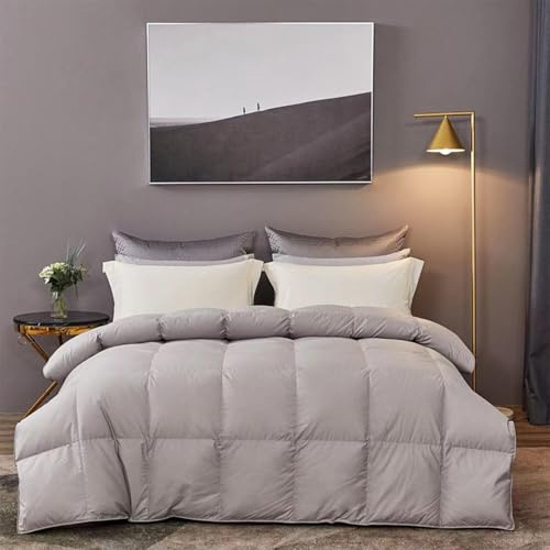 Piumino Leggero di Lusso in Piuma D'Oca, Inserto Piumino per Tutte Le Stagioni a Calore Medio con Imbottitura in Piumino e Piuma, Piumino Ultra Morbido con Potere di Riempimento,Grey-200X230CM