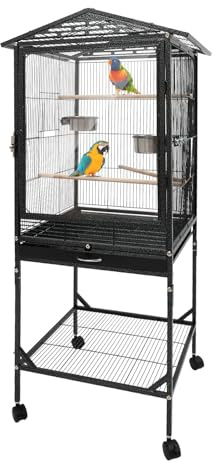 Pajarera para pájaros, jaula exótica, jaula para pájaros, jaula para periquitos, jaula, juguete para cacatúas, jaulas para loros pinzones con escalera para pinzones canarios periquitos