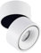 Arcchio LED Deckenlampe Ø 10 cm, Deckenstrahler 350° drehbar 90° schwenkbar Deckenspot 8,9W Deckenleuchte Strahler Spot Wohnzimmerlampe