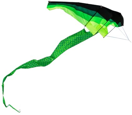Christen Sunny Professional Adult Kite - Giant 3D Gliders Design with Long Tail,118 inch Large Box Beach Kite for Outdoor Flying,No String Included,Easy to Fly Kites