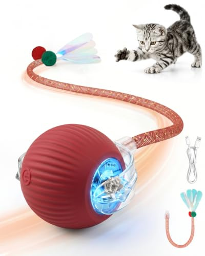 Interactive Cat Toy Ball for Indoor Cats, Rechargeable, Motion Activated