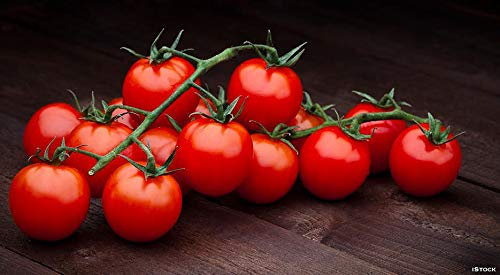 POMODORO PAKIN F1 HYBRID NR.20 SEMI