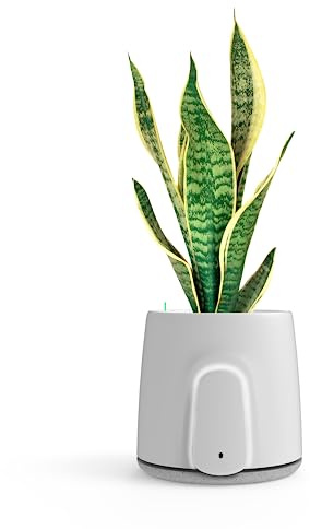 VITESY NATEDE SMART Air Purifier With No Filter To Change and Monitoring System | -99% of bacteria, microbes, molds, VOCs and viruses | Removes Odors | Green and MADE IN ITALY | Plant not included