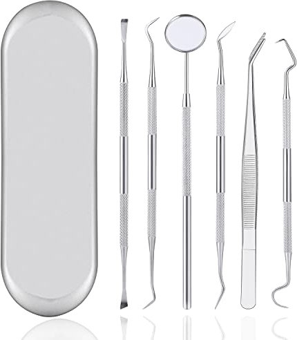 6er Zahnpflege Set, Zahnarzt Instrumente Zahnarztbesteck Zahnarztspiegel Zahnpinzette Zahnsonde Zahnsteinentferner Aus Edelstahl mit Box