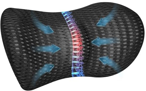 Lumbar Support Pillow for Office Chair Car Lumbar Pillow,Memory Foam Back Cushion with Breathable 3D Mesh Lumbar Support Orthopedic Backrest for Lower Back Pain Relief Ergonomic, LowerBackSupportBlack