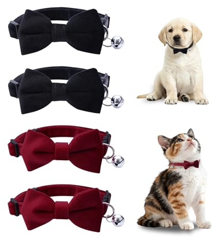 SAIIURV 4 Pezzi Collare Gatto, Collari per Gatti Antistrozzo con Campanellino, Regolabile 19-32 cm, Leggero & Confortevole, Sicurezza Massima, Per Gatti di Taglia Normale, Accessori Animali Domestic
