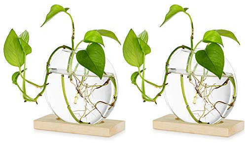 Jardinière en Verre à Suspendre De Table Pcs De 2 Station De Propagation Vase à Bouton De Fleur Moderne en Support en Bois pour Plantes Hydroponiques Boutures Burea