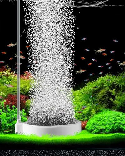 BLOTFISH Sprudelstein für Aquarium, Luftstein Aquarium, Nano-Luftblasen-Steinbelüfter, Co2 Anlage Aquarium Zubehör (8 cm, für 50-120 cm Aquarien)