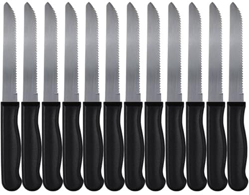 OWLMATE 12 Pezzi Coltelli da Cucina da Tavola Coltelli da Bistecca set Coltelli da Tavola Coltello Carne Coltelli da Tavola Lavabili in Lavastoviglie