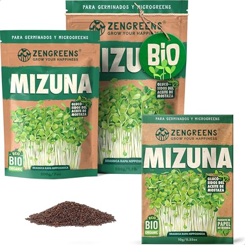 ZenGreens® - EKO Mizuna Frön - Välj mellan 10, 200g och 500g - Mizuna Frön med en grobarhet på över 97 procent - Groddar av Mizuna Frön - Microgreens