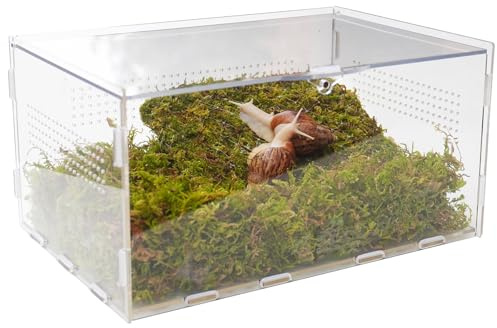 Jinymral Haustie Schneckenterrarium Set mit Vivarium für Schnecke und Einer Kletternspielzeug für Haustier-Schnecken