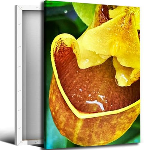 Tropical Pitcher Plant Bathroom Canvas Wall Art Decor Framed Photo Prints Picture for Bedroom Living Room Office Kitchen Posters Painting Artwork 16x20