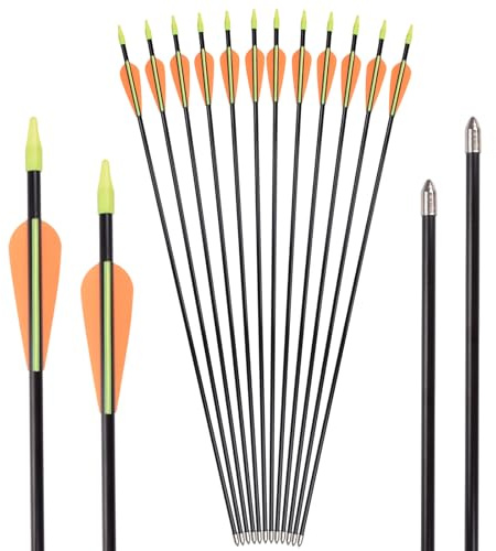 Flechas para tiro con arco de 30 pulgadas, flechas de práctica, flechas de fibra de vidrio para principiantes, ejercicio de puntería, flecha, 12 unidades