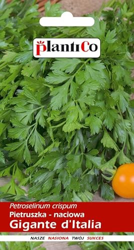 PlantiCo Prezzemolo Gigante d'Italia 5g Semi Robusti Semi di Ortaggi Semi di Coltivazione Semi di Orto in Serra Ortaggi