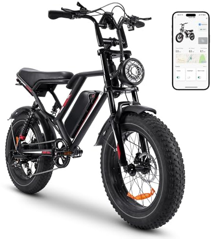 HiQiS Bicicleta Electrica Adultos, 20 × 4.0 Fat Tire, Batería de 48V 17.5Ah, Bici Electrica con LCD Pantalla, Ebike MTB 7 Velocidades, Doble Suspensión, Ebike Todo Terreno