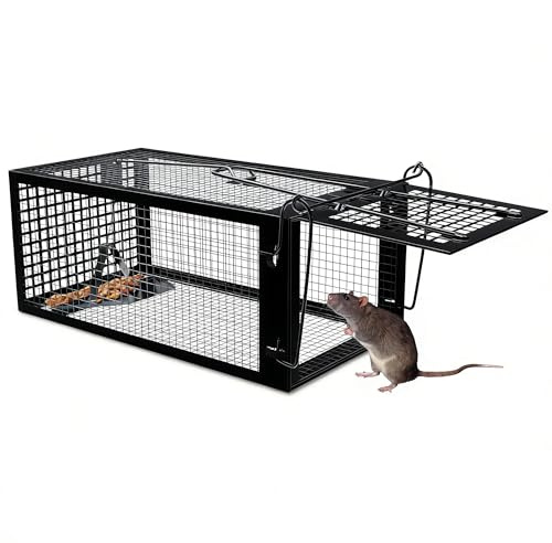 Piège à Rat, XL Piege a Souris sans Tuer Cage Attrape Rat Cage de Capture pour Souris Loir Mulot Rongeurs - Piege a Rat Réutilisable Un Usage Extérieure Intérieure - 27 x 14 x 12 cm